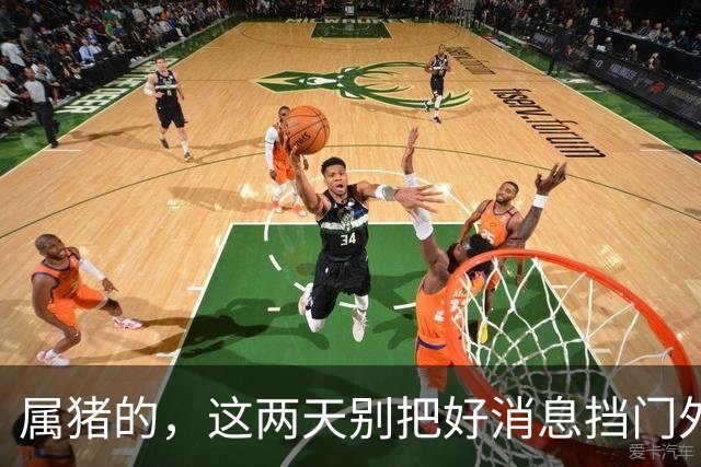 属猪的，这两天别把好消息挡门外